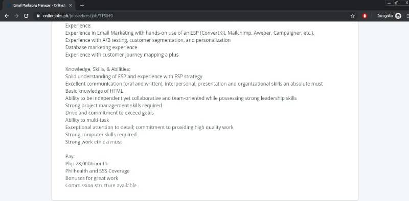 email marketing manager job description