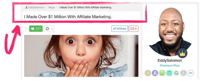 wealthy affiliate success story