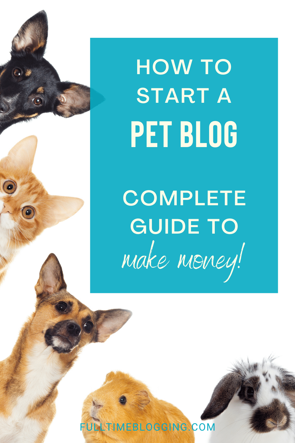How To Start A Blog About Pets